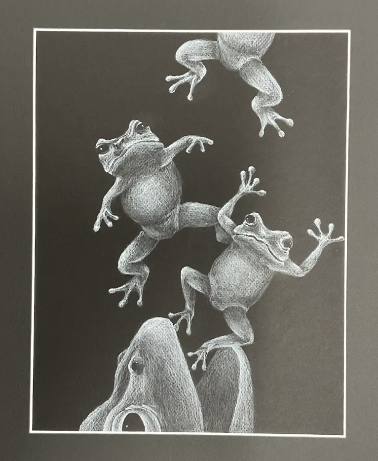 Frogs